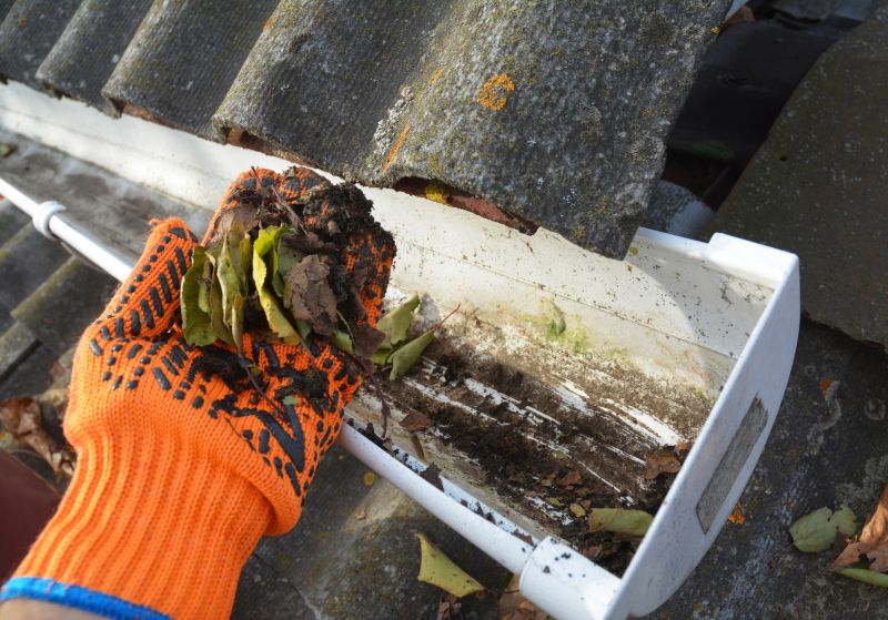 Gutter Leaf Clearing in Pittsburgh, PA