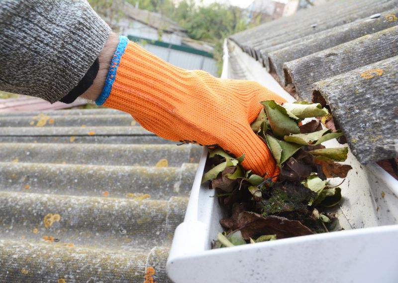 Gutter Leaf Clearing in Richmond, VA