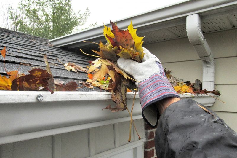 Gutter Leaves Removal in Boulder, CO