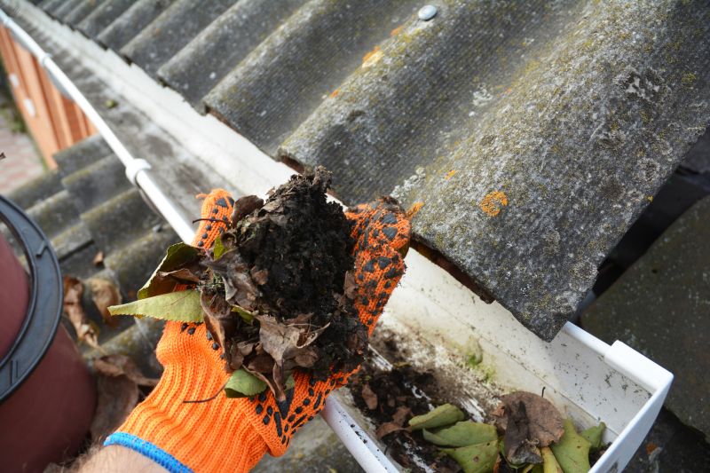 Gutter Maintenance in Monmouth County, NJ