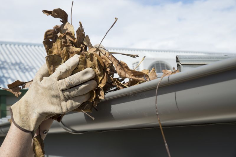Gutter Pine Needle Removal in Fredericksburg, VA