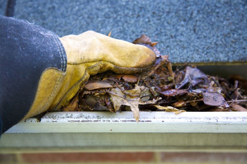 Gutter Pine Needle Removal in Arvada, CO